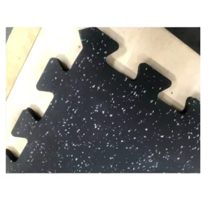 Interlocking Gym Rubber Floor Mat Anti-Skid Waterproof for Fitness