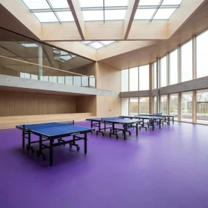 KADIA KD205 High Performance Table Tennis PVC Flooring Eco Friendly Anti Slip Shock Absorption for Indoor Sports Court