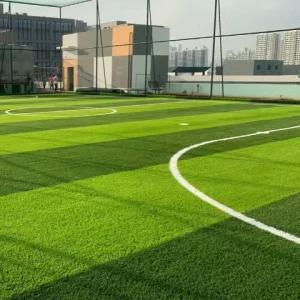 Linwoo Cost Saving Mini Football Field Artificial Grass Non Infill Futsal Artificial Grass for Soccer Field