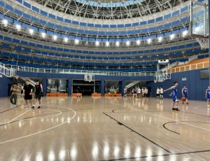 MERRY LOCK Professional Indoor Sports Flooring Arena Basketball Volleyball Futsal Badminton Quick Transforming Courts Solid