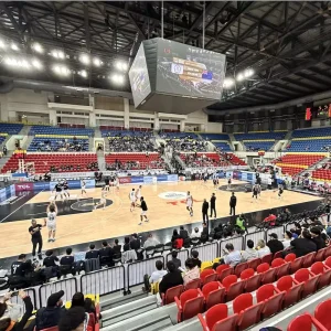 MERRY PRO Customizable 10mm Wooden Basketball Court Indoor Basketball Basketball Flooring