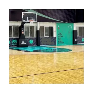Maple Sports Wooden Flooring Futsal Sport Tile Floating Floor Modular Wood Basketball Court Hardwood Flooring Systems