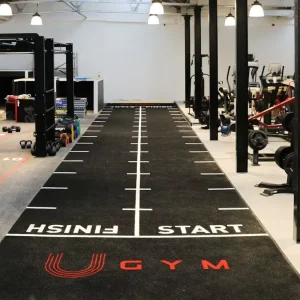 Marked Custom Logo Color-Design Scale Artificial Grass Commercial Gym Turf Flooring
