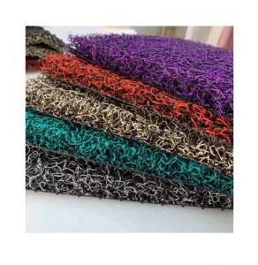 Modern Washable PVC Coil Loop Noodle Door Mat, Cushioned, Roll, Car Floor Mat