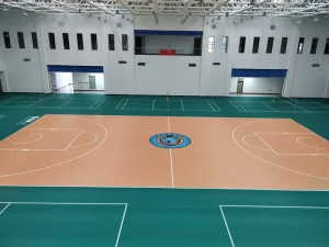 Multi-Purpose PVC Sports Flooring Volleyball & Futsal Combined Court Vinyl Floor Roll Indoor Gym Training Ground Material