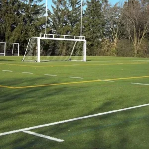 Natural Sports Grass Carpet Waterproof Artificial Turf Lawn Carpet Green Grass Floor Soccer Field School Arena