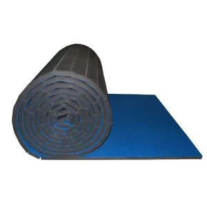New XPE Foam Gym Mat Portable Cheerleading Roll Wrestling Exercise Mat for Gym Judo Flexi Gymnastics