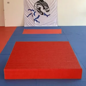 Non-Slip Soft Waterproof Lightweight 4cm High Vinyl Tatami Judo Mat with High-Resilience Sponge