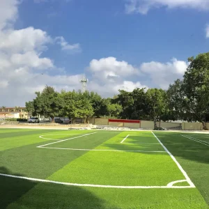 Non Toxic Artificial Soccer Grass Synthetic Sports Field Outdoor Training 50mm Football Turf for Stadium School Club