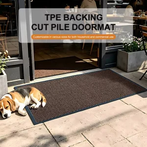 Non-slip Entrance Cut Pile Mat Soft Polypropylene Water-absorbent Washable Door Mat with PVC Rubber TPE
