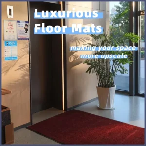 Nylon Yarn Color-Stable Washable Mat for Indoor Office Corridors and Public Passages