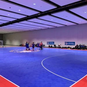 Outdoor Indoor Rubber Plastic Flooring Futsal and Basketball Courts