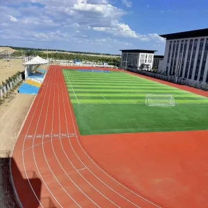 Outdoor Polyurethane Tartan Running Track Surface with Shock Absorption