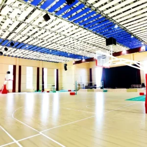 PDLOCK Modular Interlocking BWF-Certified Maple Wood System Portable Tool-Free Fast-Install Temporary Basketball Flooring
