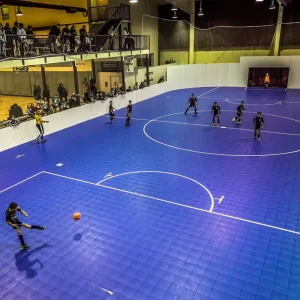 PVC Indoor Futsal & Skating Flooring 16 Color Choices Free Sample Available