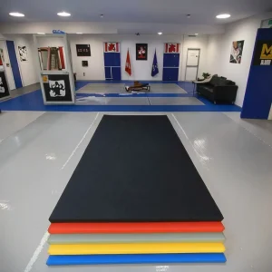 PVC Martial Arts Training Mat Anti Slip Soft Roll Out Judo Jiu Jitsu Tatami Mat