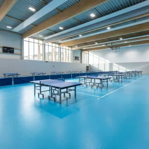 PVC Table Tennis Sports Flooring Non-Slip Shock Absorbing Wear Resistant Surface for Indoor Courts