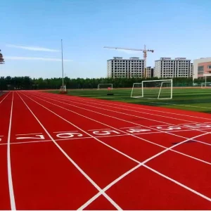 Plastic Multi Sport Track Eco Friendly Sport Flooring for Indoor Gym and Small Stadium