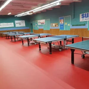 Plastic Pingpong Sports Indoor PVC Floor Table Tennis Court Flooring Vinyl Sports Flooring