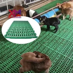 Plastic Poultry Flooring Slatted Floor Panels with Bumpy Anti Slip Surface for Farrowing Pigs and Goats