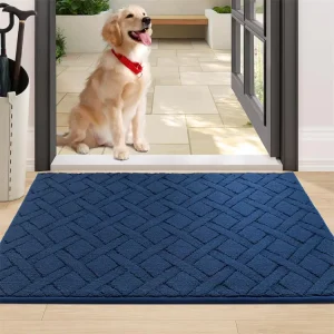 Polypropylene Plain Tufted Non-Slip Pet Friendly Entry Indoor Door Mat Machine Washable Absorbs Moisture and Dirt for Muddy Paws