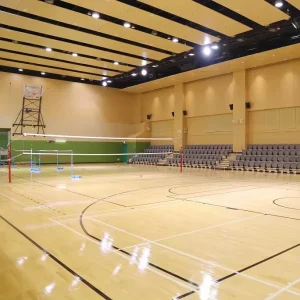 Portable Biomass Macwood Multi-Sport Interlocking Floor Tiles 25mm Thick Eco-Friendly Anti-Bacterial Sports Flooring
