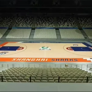 Portable High Density Fireproof Maple Sports Wooden Flooring FIBA Basketball Floor Quick Power Play Professional Training