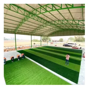 Profession Grass Supplier 10mm Synthetic Turf Lawn for Garden Landscape Grass Artificial Grass 45/60mm