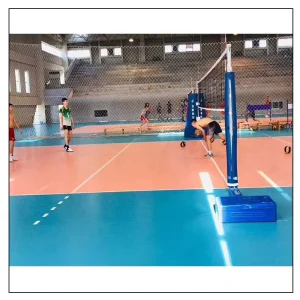 Professional 8.0mm PVC Volleyball Floor Mat High Density Indoor FIVA Approved Durable Surface for Enthusiasts