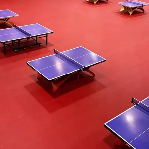 Professional Modern Indoor Table Tennis Court Flooring Eco Friendly Waterproof Factory Direct PVC Sports Vinyl Flooring Rolls