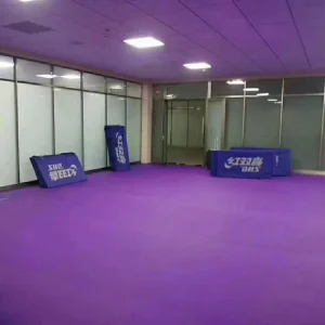 Professional PVC Table Tennis Sports Flooring Non Slip Shock Absorbing Wear Resistant Surface for Indoor Courts