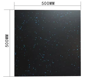Rouser Fitness 50cm*50cm Heavy Duty Gym Rubber Floor Mat Anti Slip Exercise Flooring Mat for Fitness Center Equipment