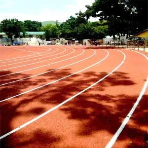 Rubber Stadium Running Track FN-CY-2507203