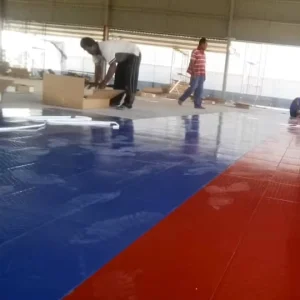 Sport Plastic Carpet Indoor Futsal Basketball Badminton Volleyball Tennis Flooring with 18 Color Options