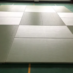 Sports Flooring for Martial Arts Facilities