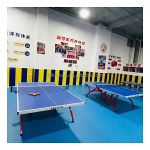 Table Tennis Flooring Resilient Indoor Sports Flooring Red Blue Purple for Multi-Sport Venue