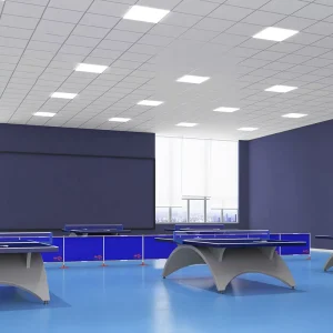 Textured PVC Indoor Tennis Court Flooring 4.5mm Thick Anti-Slip Shock-Absorbing