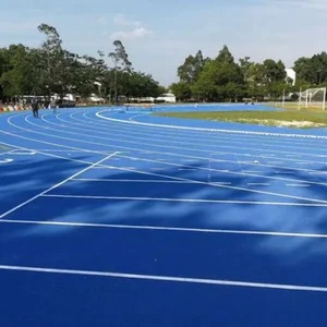 UV Resistant EPDM Rubber Granules Anti Slip Durable Material EPDM Outdoor Running Track Playground Flooring