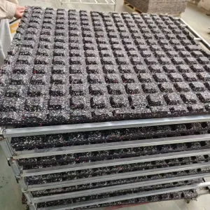 Waterproof Shock-Absorbing Rubber Mat for Gym, Fitness, Garden, and Hall Flooring