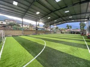 Weather resistant Football Artificial Grass 60mm Multipurpose Football Grass Rugby Artificial Grass MDS60