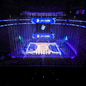 Wooden Basketball Court Maple Sports Floor with Artificial Grass Flooring Wooden Basketball Court